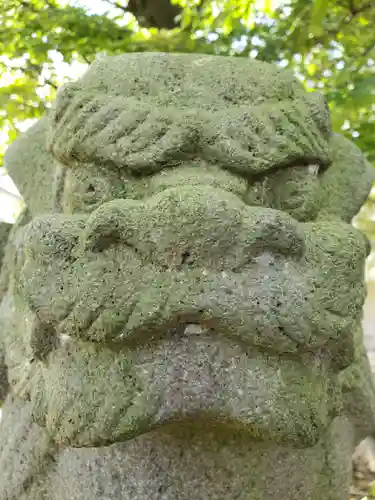 白山神社の狛犬