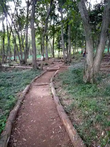 金刀比羅神社の自然