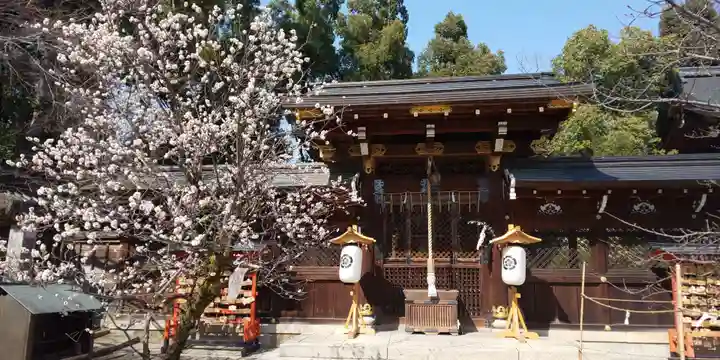 今宮神社の本殿・本堂