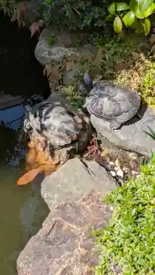 宝蔵寺(京都府)