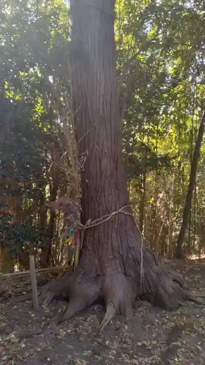 本壽院(宮城県)