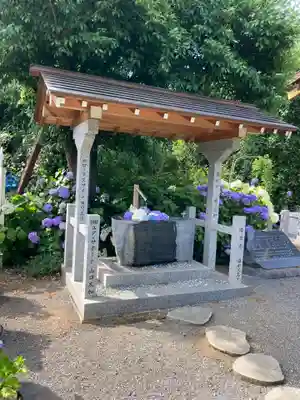 蓮田東照宮(埼玉県)