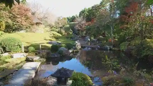 退蔵院の庭園