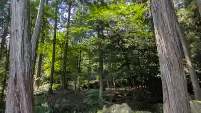 龍潭寺(京都府)