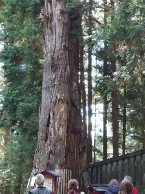 日光東照宮奥宮拝殿(栃木県)