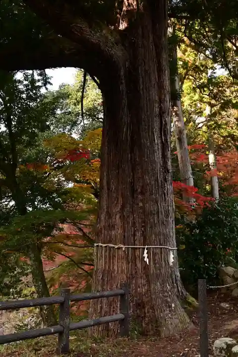 大瀧神社(滋賀県)