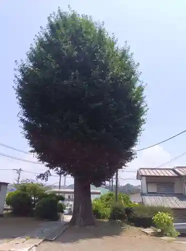 神明社(神奈川県)