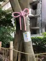 伊和志津神社(兵庫県)
