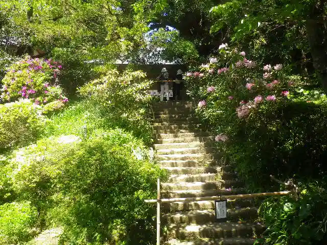 浄光明寺の庭園