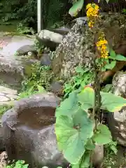 榛名神社(群馬県)