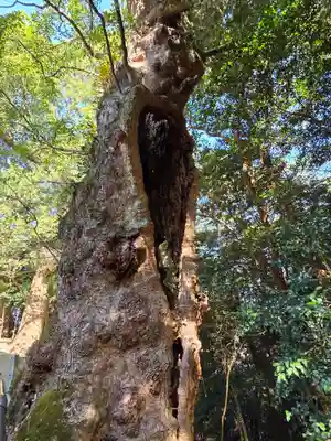 新田神社(鹿児島県)