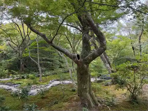 宝筐院(京都府)