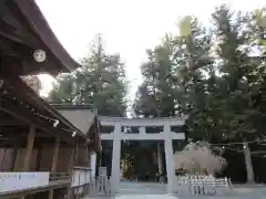 小國神社の鳥居