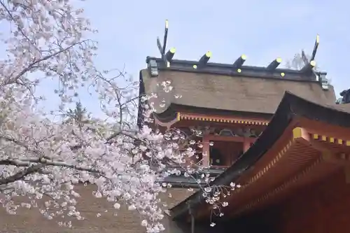 富士山本宮浅間大社(静岡県)