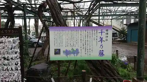 國領神社の歴史