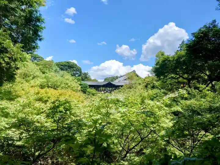 東福禅寺(東福寺)(京都府)