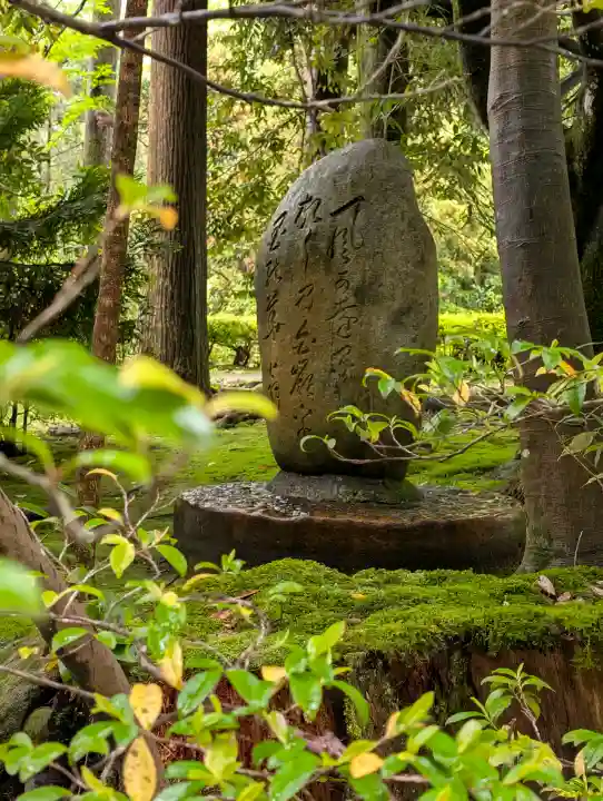 白山比咩神社の{uncategorized: "未分類", other: "その他", undefined: "問題あり", building: "その他建物", grave: "お墓", sacred_gate: "鳥居", guardian: "狛犬", statue: "像", buddha: "仏像", history: "歴史", nature: "自然", garden: "庭園", animal: "動物", pagoda: "塔", temizu: "手水舎", mountain_gate: "山門・神門", sanctuary: "本殿・本堂", subordinate: "末社・摂社", art: "芸術", scenery: "景色", jizo: "地蔵", ema: "絵馬", goshuin: "御朱印", omikuji: "おみくじ", items: "授与品その他", amulet: "お守り", goshuincho: "御朱印帳", eats: "食事", festival: "お祭り", votive_dance: "神楽", shichigosan: "七五三参", wedding: "結婚式", experience: "体験その他", initially: "初詣", around: "周辺", anti_infection: "感染症対策"}
