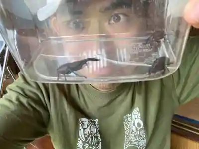 蓮久寺(千葉県)