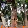 息栖神社のその他建物