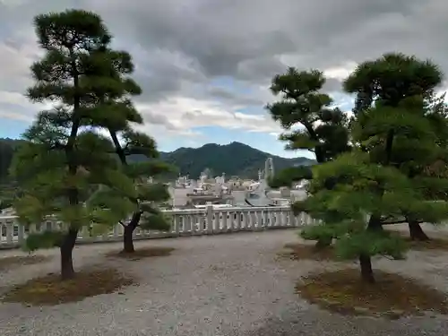 浅間神社の景色