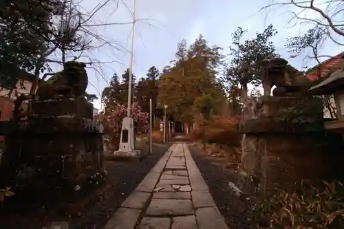 豊景神社の狛犬