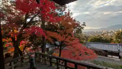知恩院(京都府)