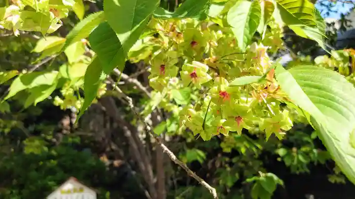 大報恩寺(千本釈迦堂)(京都府)