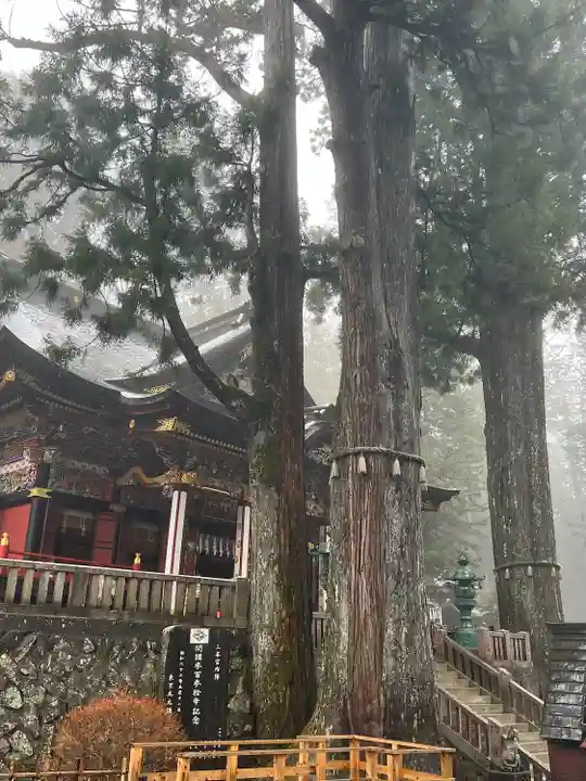 三峯神社(埼玉県)