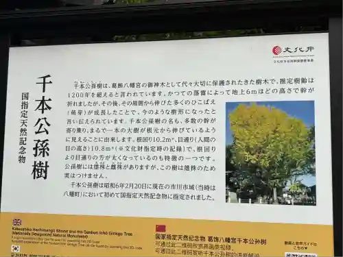 葛飾八幡宮(千葉県)