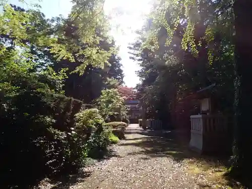 本村井神社の周辺