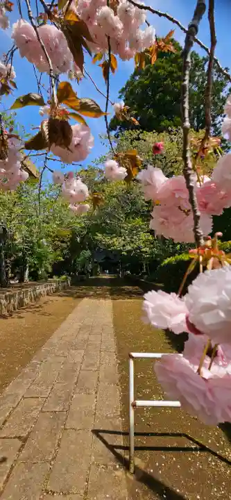 松山神社の{uncategorized: "未分類", other: "その他", undefined: "問題あり", building: "その他建物", grave: "お墓", sacred_gate: "鳥居", guardian: "狛犬", statue: "像", buddha: "仏像", history: "歴史", nature: "自然", garden: "庭園", animal: "動物", pagoda: "塔", temizu: "手水舎", mountain_gate: "山門・神門", sanctuary: "本殿・本堂", subordinate: "末社・摂社", art: "芸術", scenery: "景色", jizo: "地蔵", ema: "絵馬", goshuin: "御朱印", omikuji: "おみくじ", items: "授与品その他", amulet: "お守り", goshuincho: "御朱印帳", eats: "食事", festival: "お祭り", votive_dance: "神楽", shichigosan: "七五三参", wedding: "結婚式", experience: "体験その他", initially: "初詣", around: "周辺", anti_infection: "感染症対策"}