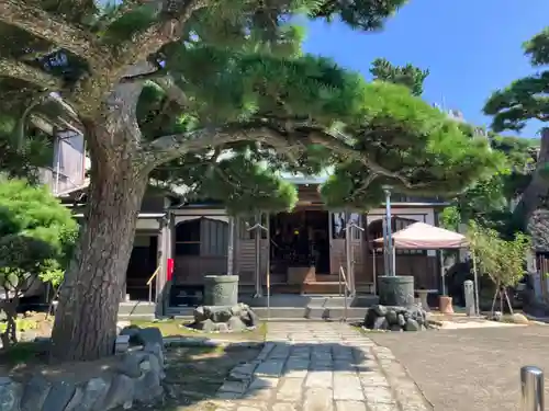 本成寺の本殿・本堂