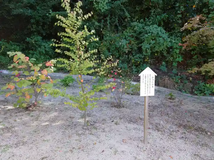 塩屋神社の自然