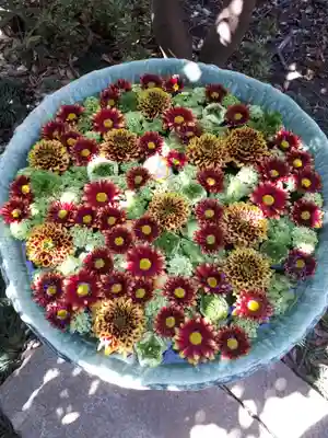 行田八幡神社の手水舎