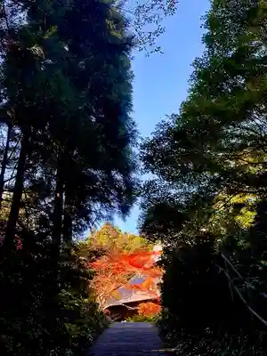 国上寺(新潟県)