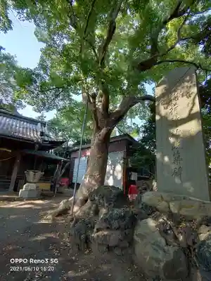 小栗原稲荷神社の自然