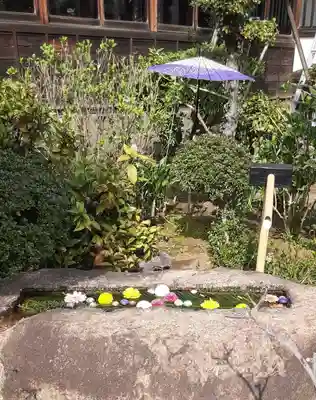 一乗寺(東京都)