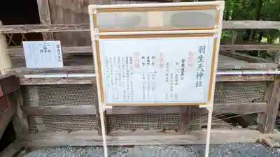 羽生天神社(宮城県)