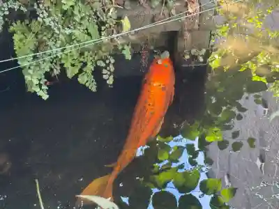 厳島神社（港町弁財天）(千葉県)