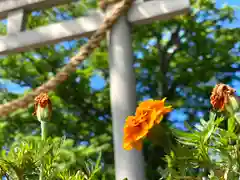 白鳥神社(長野県)