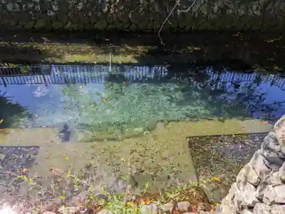 多度大社(三重県)