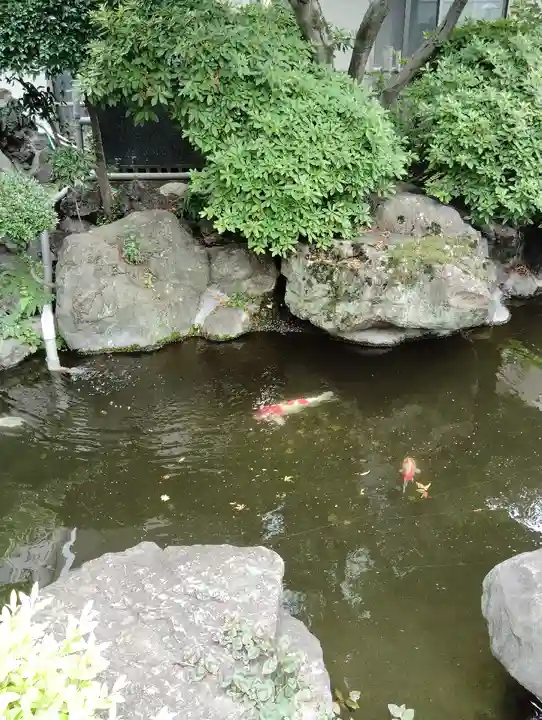 東光寺別院桜ヶ池不動院(東京都)
