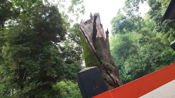 賀茂御祖神社(下鴨神社)のその他建物
