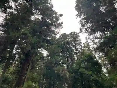 大宮温泉神社(栃木県)