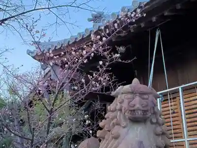 柿本神社の狛犬