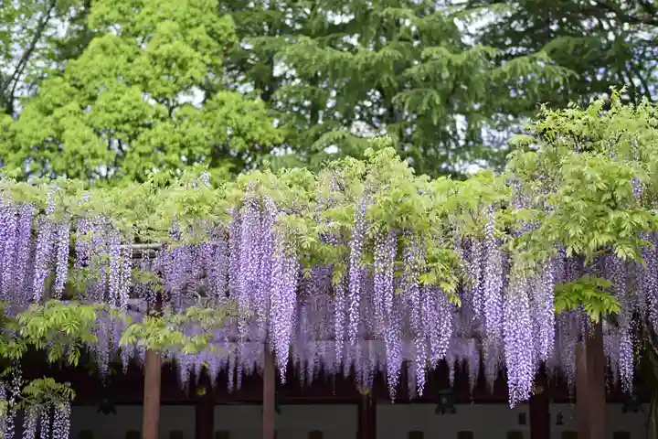 笠間稲荷神社の周辺