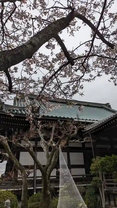 妙傳寺(京都府)