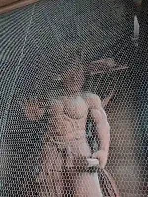 寳光寺　鹿野大佛の仏像