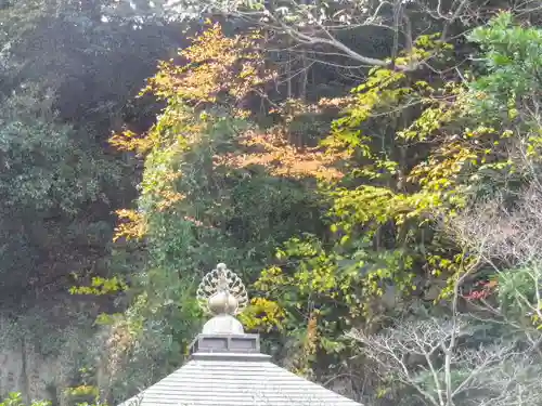安國論寺（安国論寺）の自然