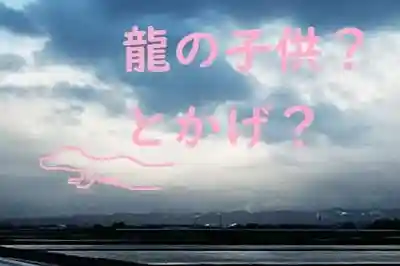 白狐山光星寺(山形県)